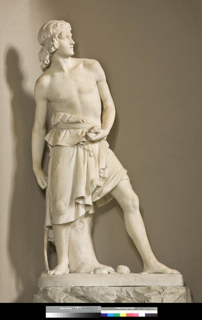 Sapanlı David, 1858 by Innocenzo Fraccaroli