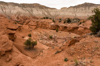 Kodachrome Basin Eyalet Parkı