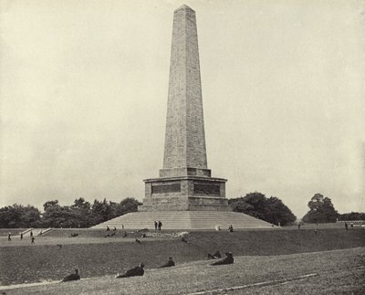 Wellington Tanıklığı, Phoenix Park (s/b fotoğraf) by Irish Photographer