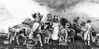 Patates Hasadı, 1870