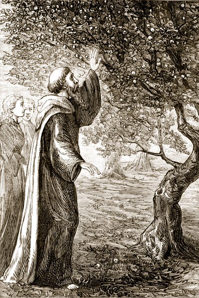 St. Columba, Mary Cusack (1829-99) tarafından 1890