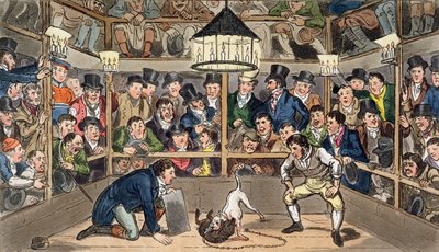 Tom ve Jerry, Westminster Pit'te, Pierce Egan'ın 'Life in London' filminden Monkey, Jacco Macacco fenomeni hakkında küstahlık gösteriyorlar. by Isaac Robert & George (1792 1878) Cruikshank