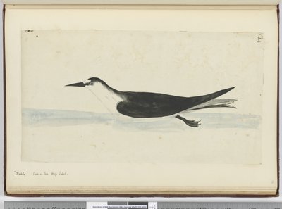 F.44 Baş. Denizde görülen yüksek S. lat., 1772-75 (wc) by Isaac Smith