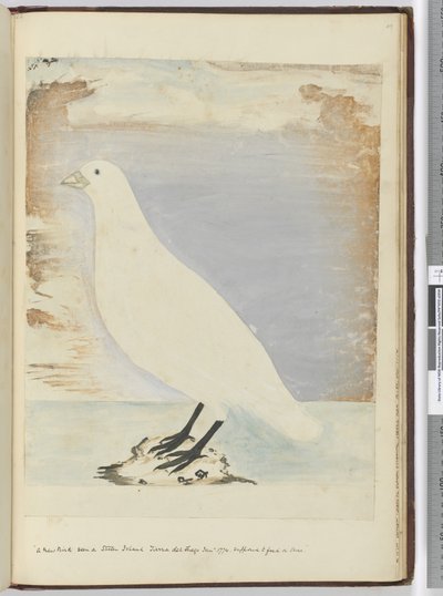F.51 Staten Island Tierra del Fuego Ocak 1774