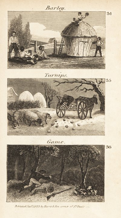 Norfolk, Regency İngiltere'de Ticaret by Isaac Taylor