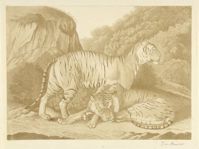 Bir manzara içinde iki kaplan by Isaac van Haastert (signed by artist)