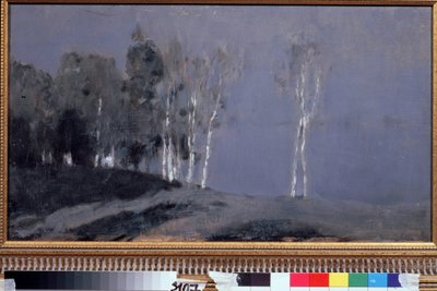 Mehtaplı Gece. Isaac (Isaac) Ilyich Levitan (1860-1900), tuval üzerine yağlıboya, yaklaşık 1890. Rus sanatı, 19. yüzyıl manzarası. Devlet Tretyakov Galerisi, Moskova. by Isaak Ilyich Levitan