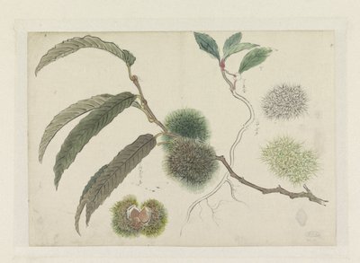 Bir dalda tatlı kestane by Ishikawa Kazan