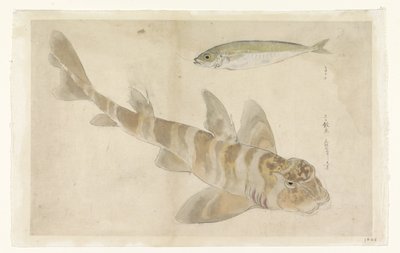İki balık: kırlangıçotu (?) ve ringa balığı by Ishikawa Kazan