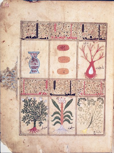 Ms. Arabe 2964 fol.49 Galien