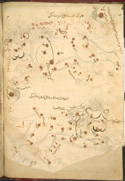 Veya 5323 f.45v İki aslan, Abdurrahman al-Sufi