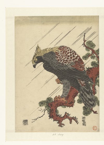 Yağmurda çam dalı üzerinde kartal by Isoda Koryusai
