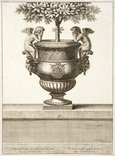 Narenciye ağaçları için kullanılan bronz çömleği, 'Versailles Görünümleri ve Planları'ndan bir çizim, Paris, c.1664-89 (gravür) by Israel the Younger (after) Silvestre