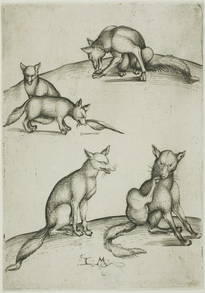 Beş Tilki by Israhel van Meckenem the younger