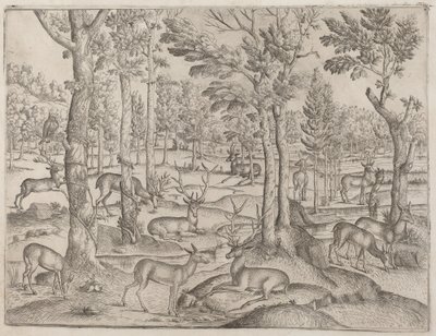 Ormandaki Geyik by Italian 16th Century