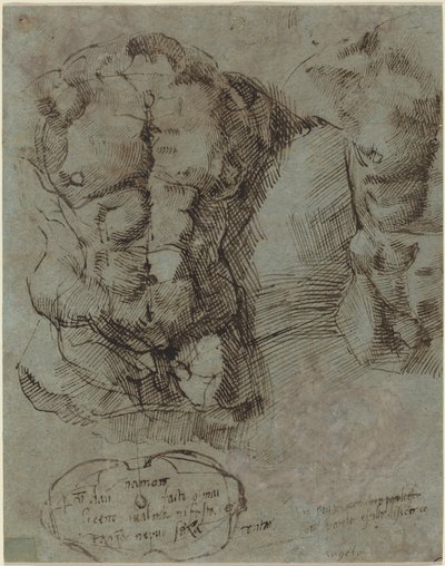 Erkek Gövde Çalışmaları by Italian 16th Century