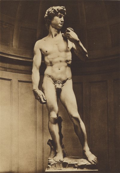 Firenze / Floransa: Michelangelo