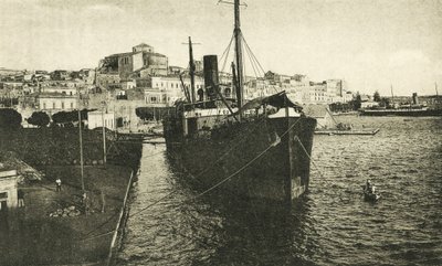 Limandan Panorama (siyah-beyaz fotoğraf) by Italian Photographer
