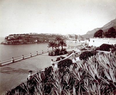 Montecarlo