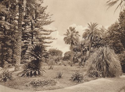 Sicilya / Sicilya: Villa Tasca, Palermo (b/w fotoğraf) by Italian Photographer