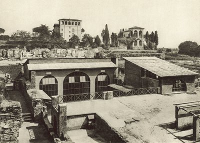 Palatine, Livia Evi by Italian Photographer
