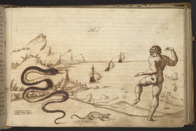 Ekle. 82955, f.115 Yılan (