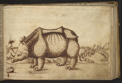Ekle. 82955, f.172 Gergedan., Hayvanların Tarihinden by Italian School