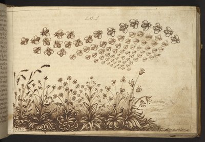 Ekle. 82955, f.64 Arılar (
