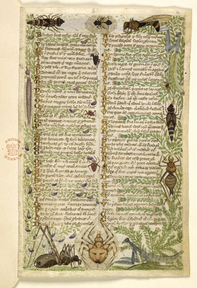 Ekle MS 28841 f.006r Yedi Kötülük üzerine bir düzyazı incelemesinden ve II. Frederick döneminde Sicilya tarihinden olaylar hakkında bir ayetten yapraklar, Cocharelli tarafından, c.1330-40 by Italian School