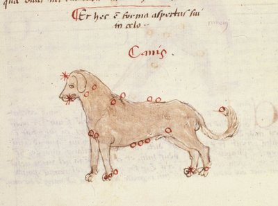 Köpek takımyıldızı (Canis). Biasino da Parma