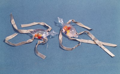 Floransa