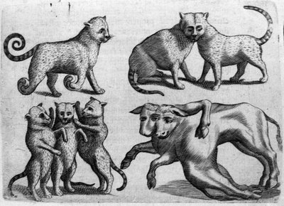 Farklı canavar türleri: birden fazla bedene sahip kediler ve inekler. İtalyan bilim adamı Fortunio Liceti (1577-1656) tarafından "De monstrorum natura, causis et Differentiis" adlı gravür. 1646 by Italian School