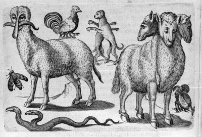 Birden fazla gövdeye veya anormal miktarda uzuvlara sahip farklı canavar türleri. İtalyan bilim adamı Fortunio Liceti (1577-1656) tarafından "De monstrorum natura, causis et Differentiis" adlı gravür. 1646 by Italian School