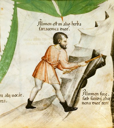 Şap Çıkarma, c.1440 (renkli taş) by Italian School