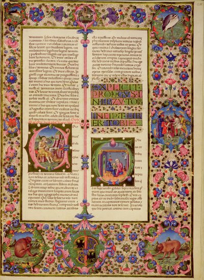 Fol.212r Toby Kitabı, Borso d