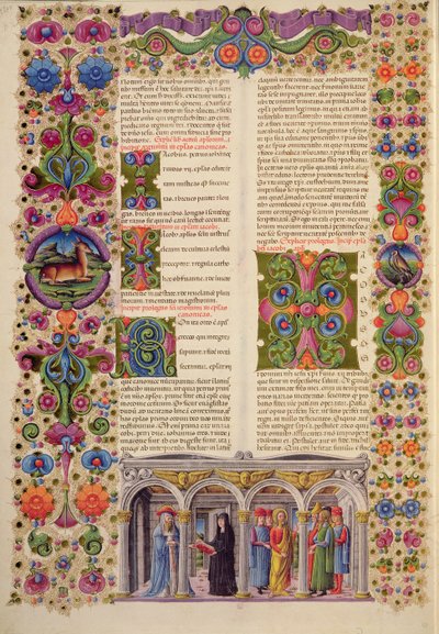 Fol.229 Borso d