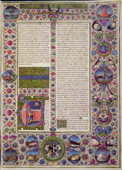 Fol.44r Borso d