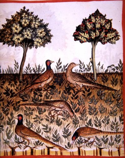 Fol.68v Sülünler, 