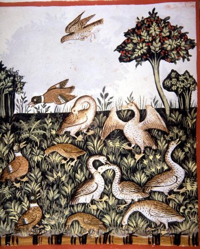Fol.69v Ördekler ve Kazlar, 