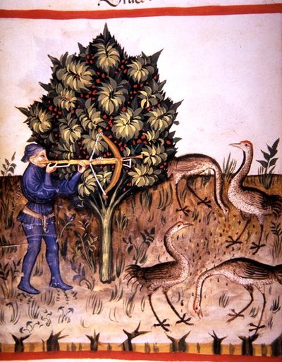 Fol.70v Av Vinci, 