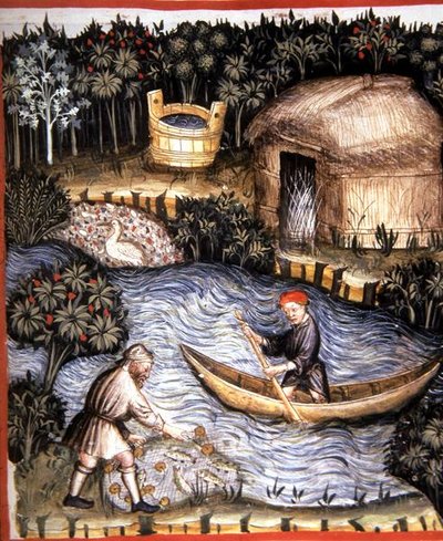 Fol.82r Taze Balık, 