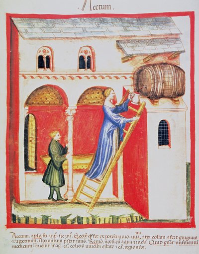 Fol.85v Sirke, Tacuinum Santiatis Codex Vindobonensis