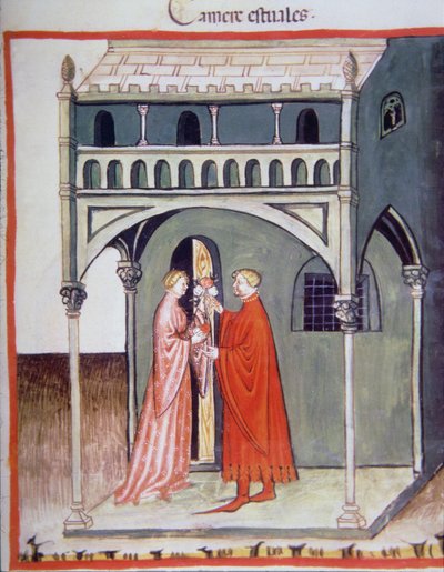 Fol.97r Yaz Odası, Tacuinum Santiatis Codex Vindobonensis