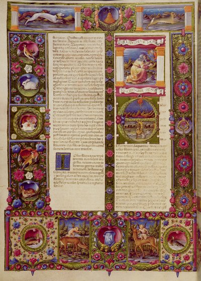 fol. Borso d