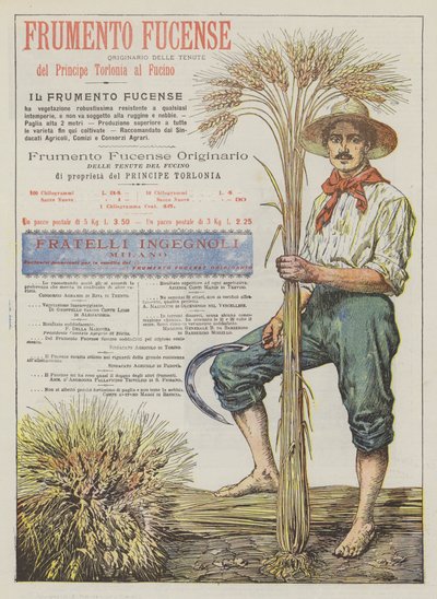 fucense buğday by Italian School