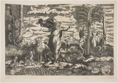 Hayvanları Yaratan Tanrı, c.1550 by Italian School