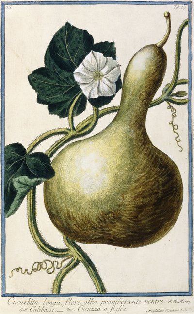 Kabak, 1772-1784 by Italian School