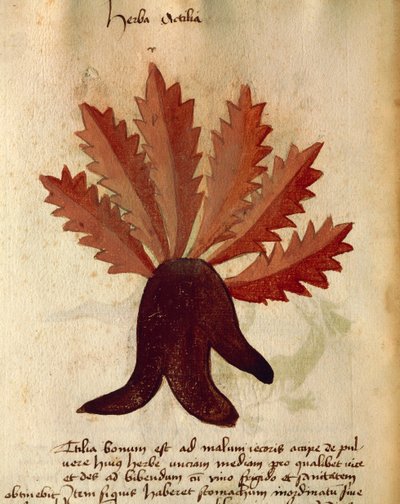 bitki örtüsü by Italian School