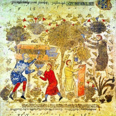 12. yüzyılda İtalya'da bal hasadı by Italian School