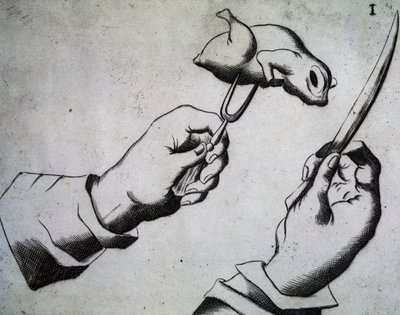 Kuş nasıl doğranır, Messer Bavyera Bavyeralı Mattia Giegher